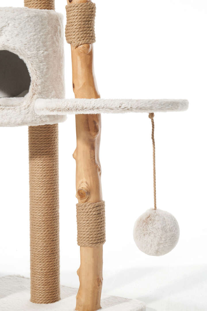 Nobby Kratzbaum Loya